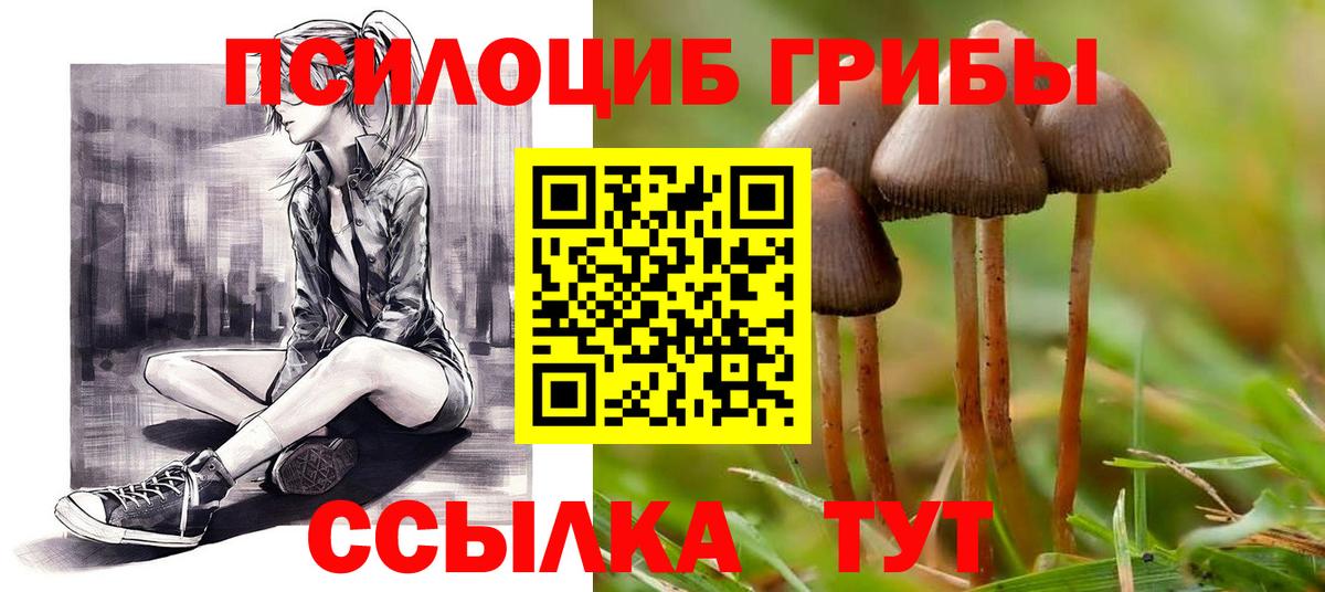 Грозный  Псилоцибиновые грибы мухоморы  Вход с VPN 